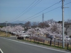 hi2016.4.11 1.jpg